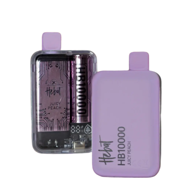 HEBAT HB10000 PUFFS DISPOSABLE MESH BOX