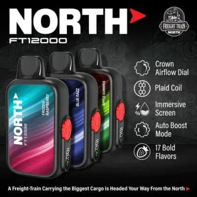 NORTH FT12000 DISPOSABLE 5%