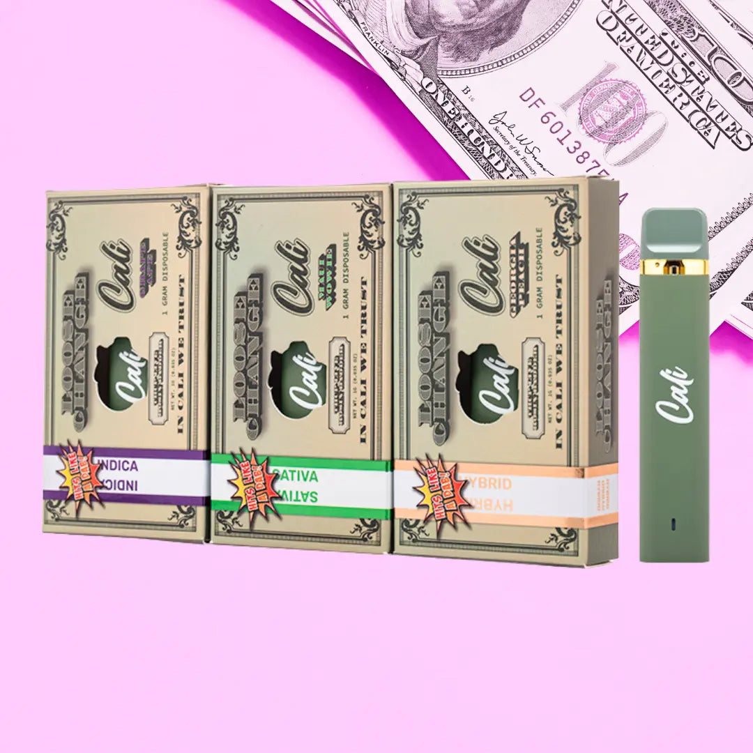 CALI EXTRAX LOOSE CHANGE 1GM DISPOSABLE CALI