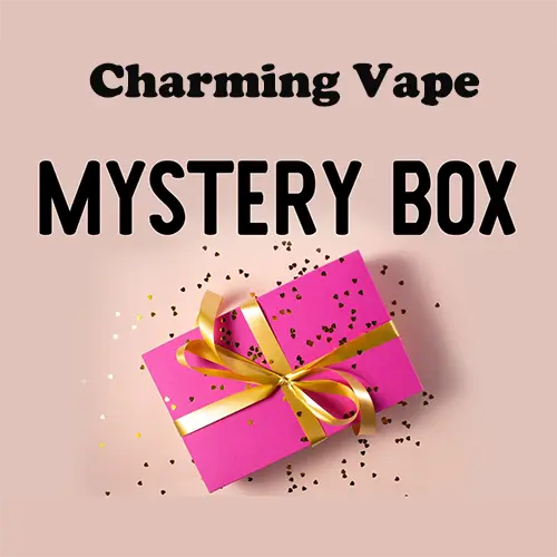 Disposables Mystery Box Charming Vape