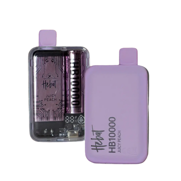 HEBAT HB10000 PUFFS DISPOSABLE MESH BOX HEBAT