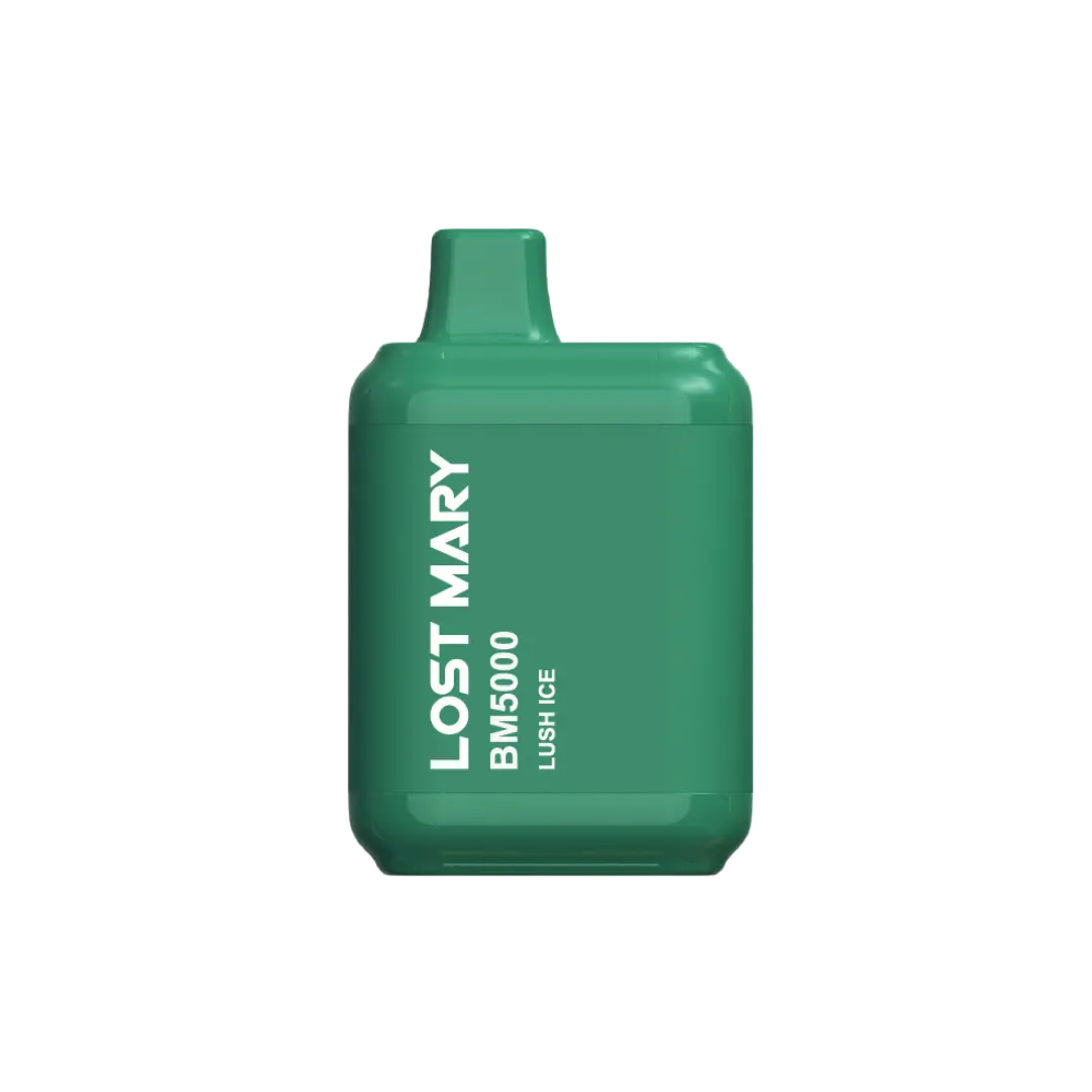 LOST MARY BM5000 PUFF DISPOSABLE LOST MARY