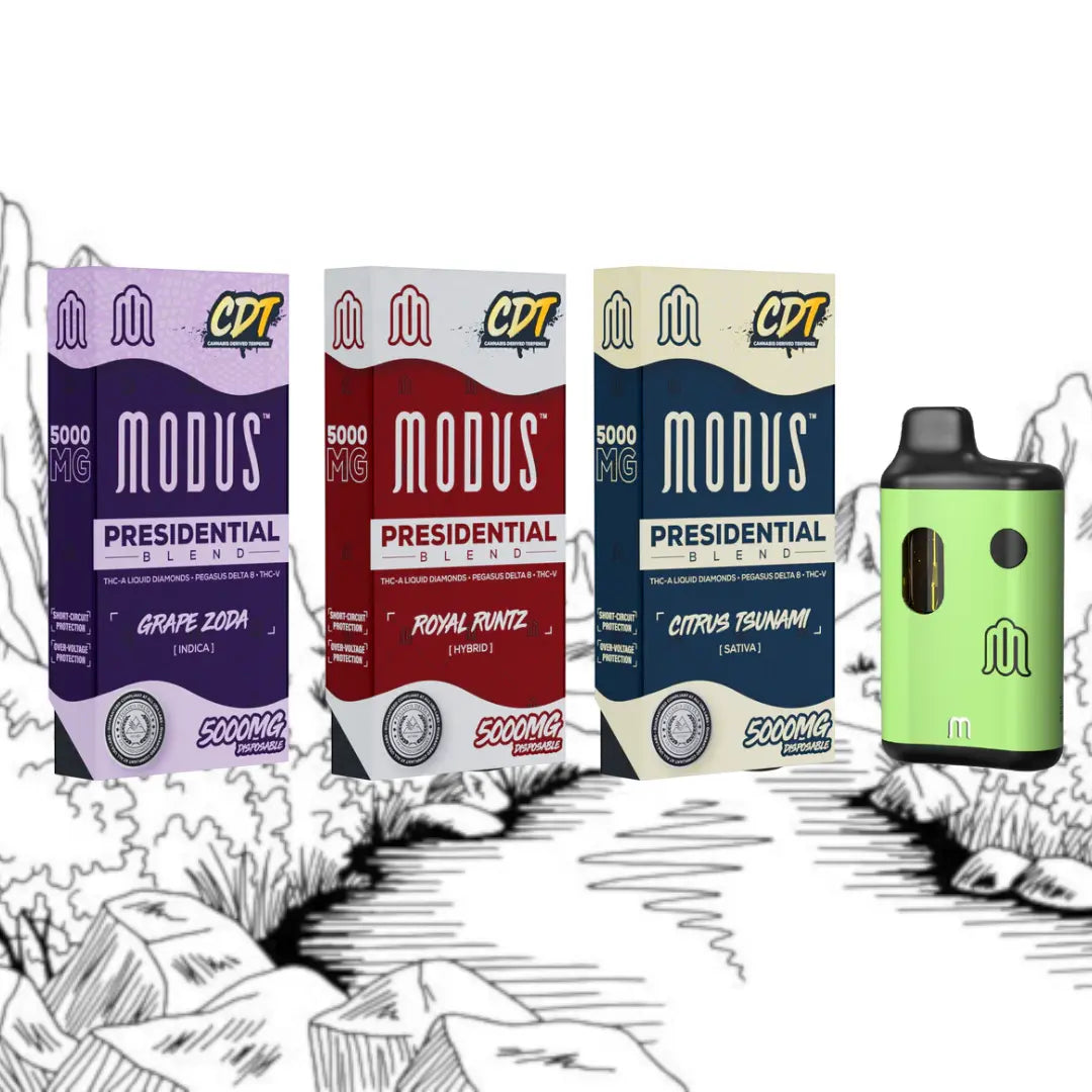 MODUS PRESIDENTIAL BLEND 5GM DISPOSABLE MODUS