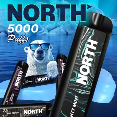 NORTH 5000 PUFFS DISPOSABLE NORTH