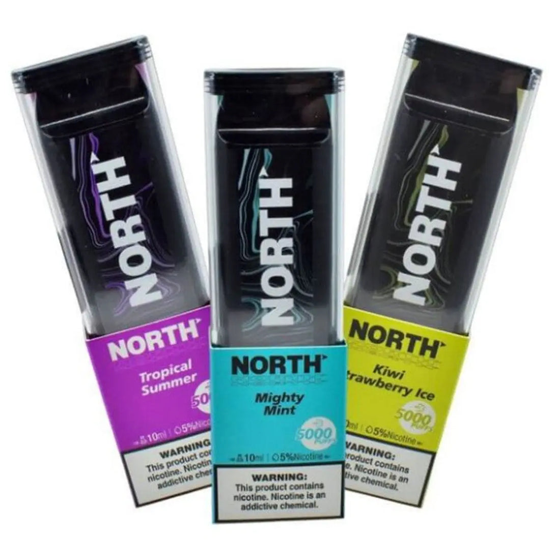 NORTH 5000 PUFFS DISPOSABLE NORTH