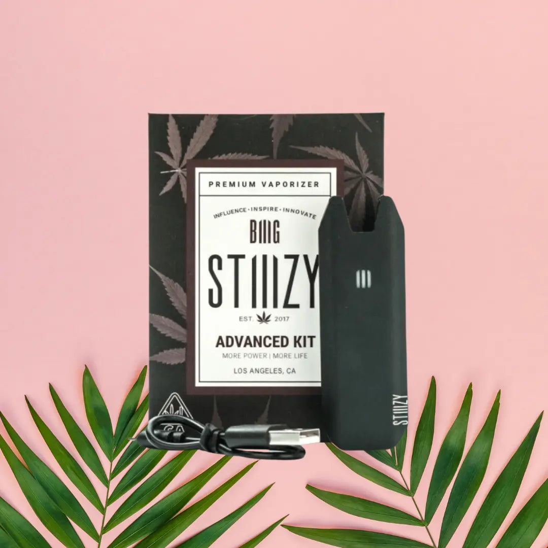 STIIIZY BIIIG BATTERY 550MAH KIT STIIIZY