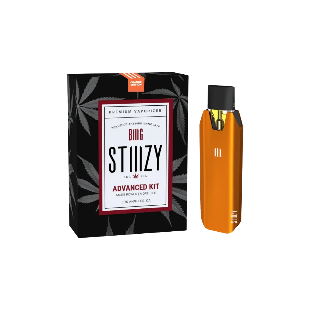 STIIIZY BIIIG BATTERY 550MAH KIT STIIIZY