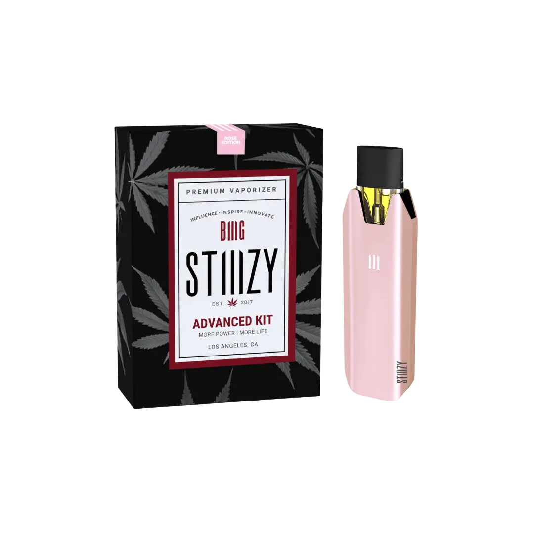 STIIIZY BIIIG BATTERY 550MAH KIT STIIIZY