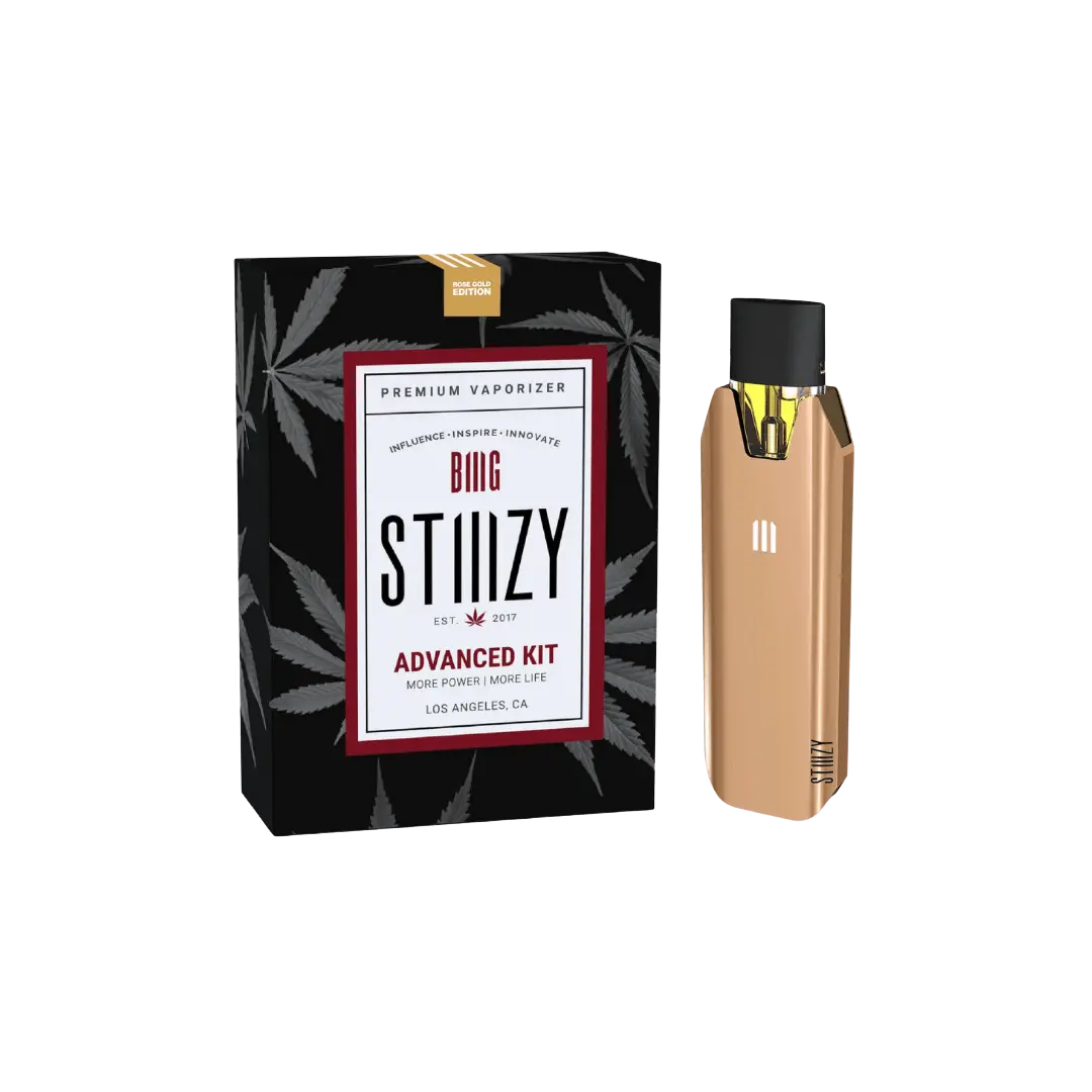 STIIIZY BIIIG BATTERY 550MAH KIT STIIIZY
